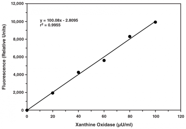 Xanthine Oxidase Fluorometric Assay Kit