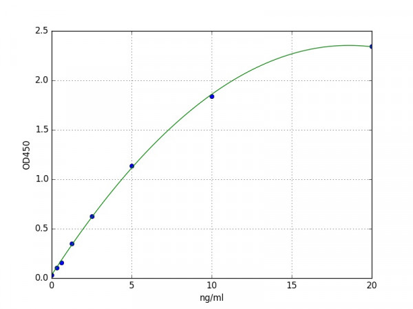 Human EPHA10 / Eph receptor A10 ELISA Kit