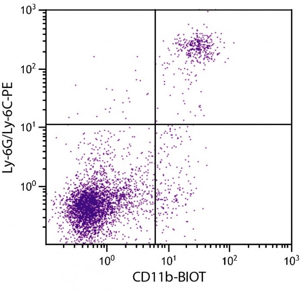 Anti-CD11b (Biotin), clone M1/70