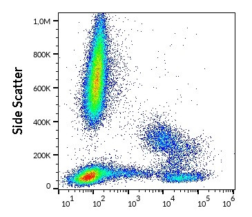 Anti-HLA-DR (PE), clone L243