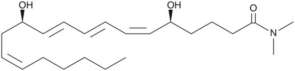 Leukotriene B4 dimethyl amide