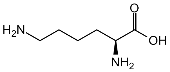 L-Lysine