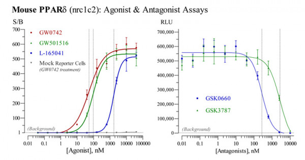 PPARdelta (human) Reporter Assay Kit