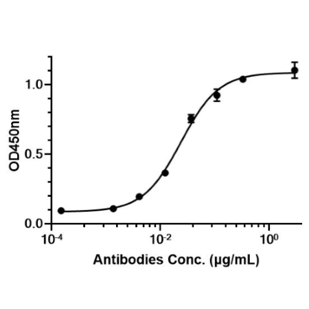Anti-HER3 Antibody (Ab562)