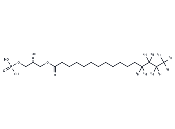 1-Palmitoyl-d9-2-hydroxy-sn-glycero-3-PA