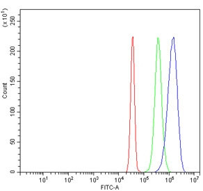 Anti-Dnmt3b