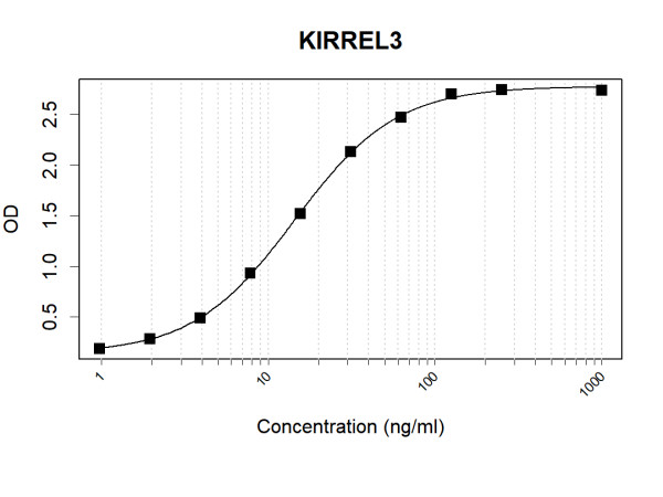 Anti-Human KIRREL3 Antibody Pair