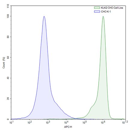 FluoSite Anti-KLK2 Antibody, APC Labeled