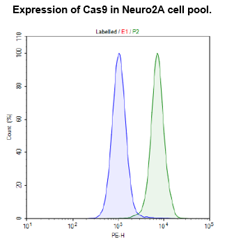 Cas9-Expressing Neuro2A Cell Pool