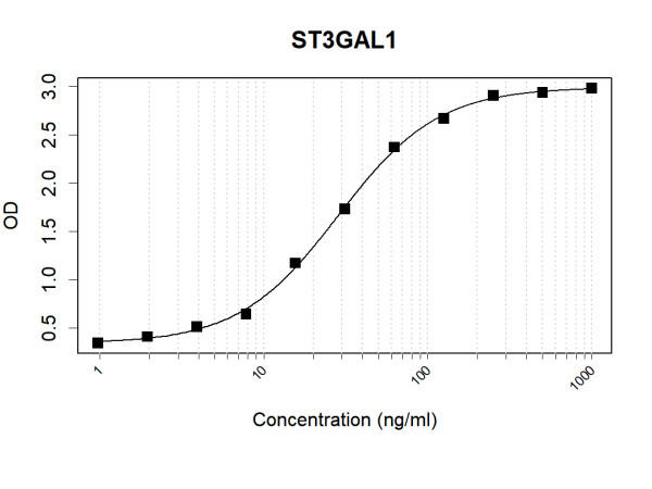 Anti-Human ST3GAL1 Antibody Pair