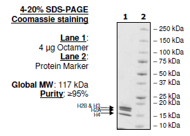 Histone Octamer, Biotin-labeled, His-tag