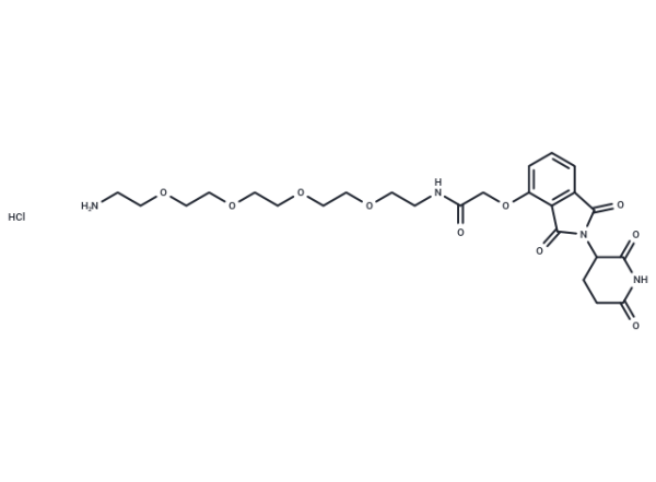 Thalidomide-O-amido-PEG4-C2-NH2 hydrochloride