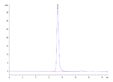 ICAM-1/CD54, His, Mouse
