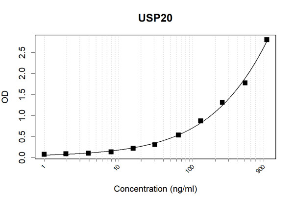 Anti-Human USP20 Antibody Pair