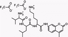 D-VLK-AMC [D-Val-Leu-Lys-AMC]