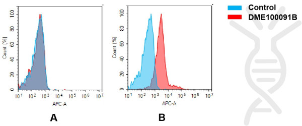 Biotinylated Anti-GPRC5D antibody(DM91), Rabbit mAb