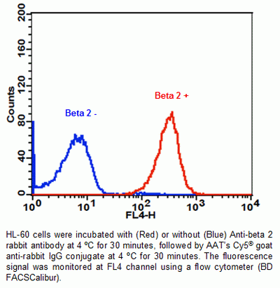 Cy5(R) goat anti-rabbit IgG (H+L)