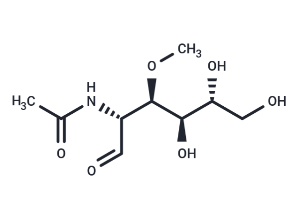 NAGKi