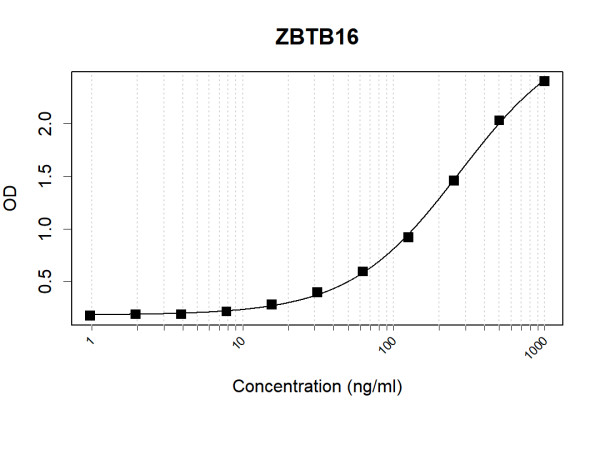 Anti-Human ZBTB16 Antibody Pair