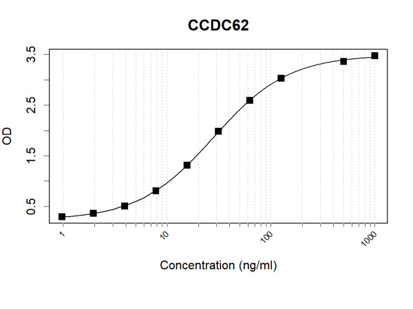Anti-Human CCDC62 Antibody Pair