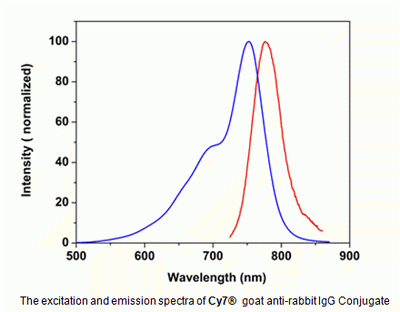 Cy7(R) goat anti-rabbit IgG (H+L)