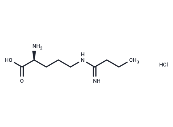 Ethyl-L-NIO (hydrochloride)