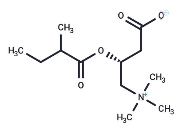 2-Methylbutyrylcarnitine