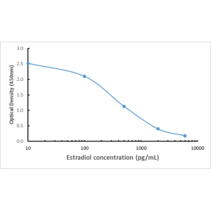 Anti-Estradiol, Rabbit Monoclonal (RM343)