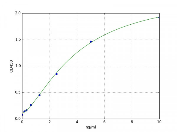 Human SLC25A4 / Adenine Nucleotide Translocase 1 ELISA Kit