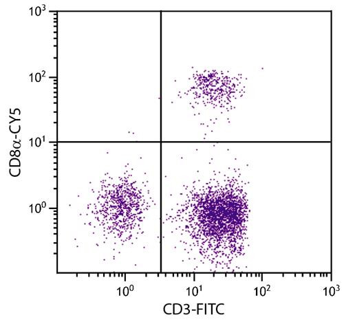 Anti-CD8a (Cy5), clone CT-8