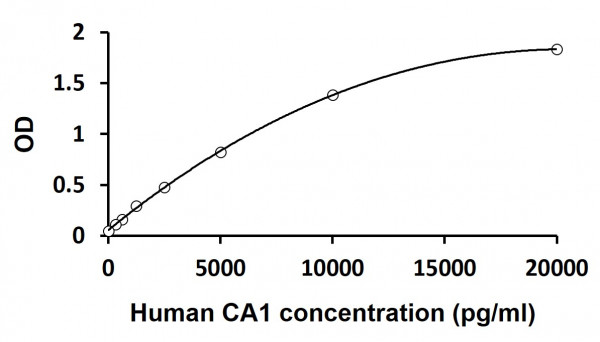 Human CA1 / Carbonic Anhydrase 1 ELISA Kit