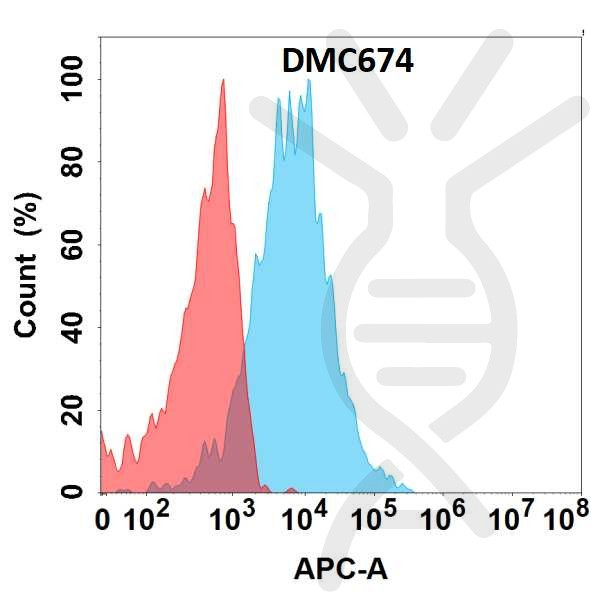 Anti-CD74 antibody(DMC674), IgG1 Chimeric mAb