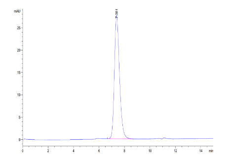 IL-7R alpha/CD127, His, Human