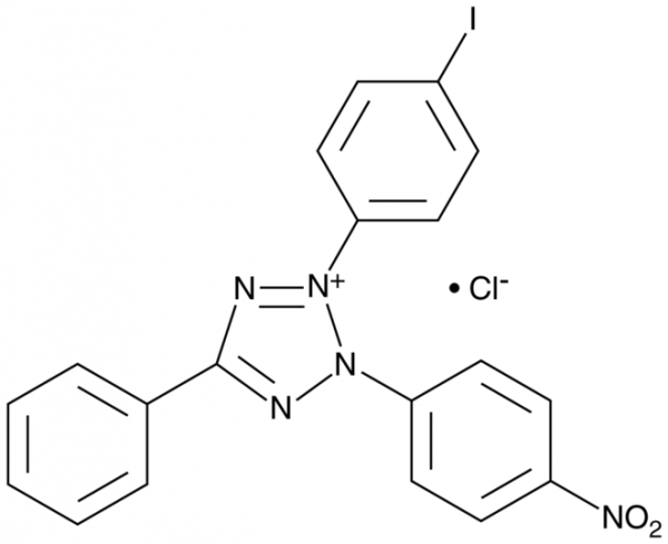 Iodonitrotetrazolium (chloride)