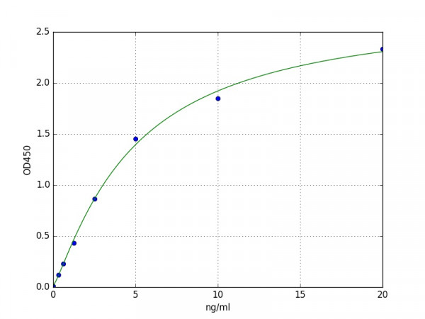 Human RNASEN / Drosha ELISA Kit