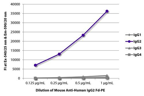 Anti-Human IgG2 Fd [HP6014] (PE) [Mouse]