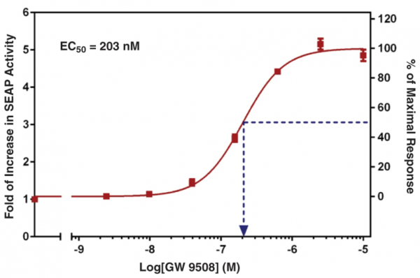 FFAR1 (GPR40) Reporter Assay Kit