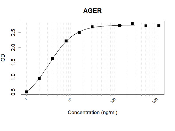 Anti-Human RAGE Antibody Pair