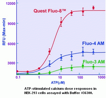 Screen Quest(TM) 10X calcium assay buffer with Phenol Red Plus(TM)