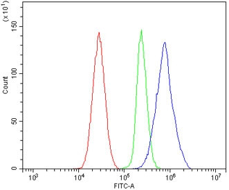 Anti-Par1 / F2r / Thrombin Receptor