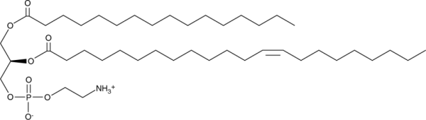 1-Palmitoyl-2-erucoyl-sn-glycero-3-phosphoethanolamine