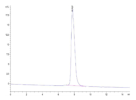 PDGF R beta/CD140b, His, Rat