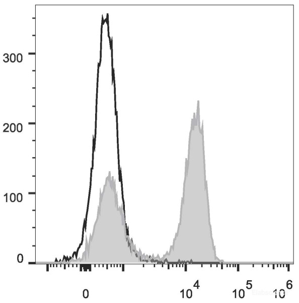 Anti-Rat CD3 (FITC Conjugated)[G4.18], clone G4.18