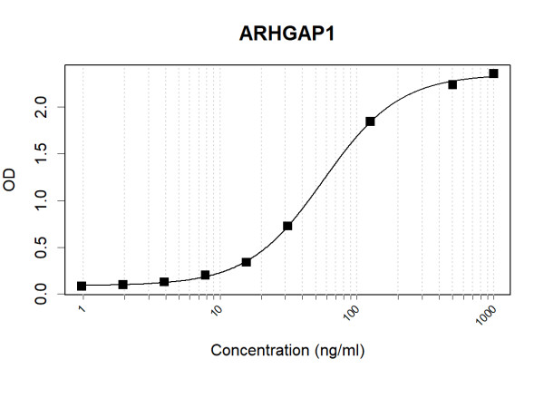 Anti-Human ARHGAP1 Antibody Pair