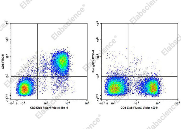 FITC Anti-Mouse CD6 Antibody[OX-129]