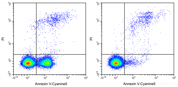 Annexin V-Cyanine5 / PI Apoptosis Detection Kit