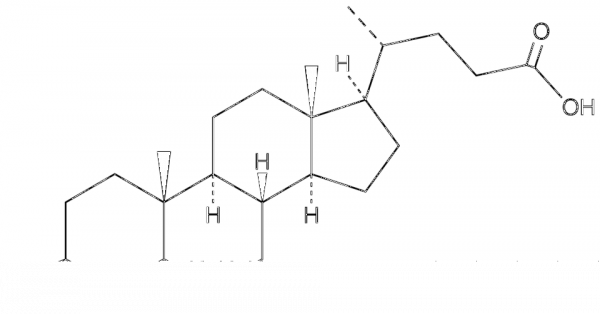 Alloisolithocholic Acid