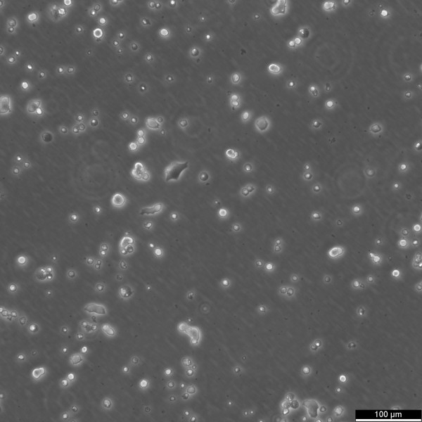 MIN-6 Cells