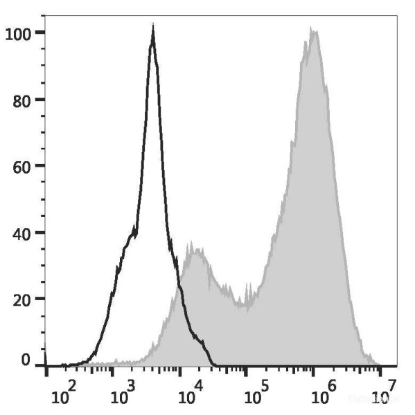 Anti-Mouse CD107a, PerCP/Cyanine5.5 conjugated, clone 1D4B