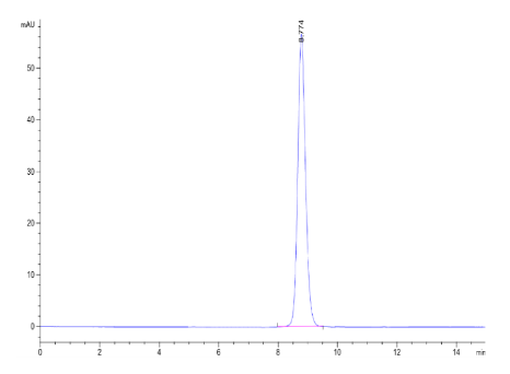 IL-3 R alpha/CD123, His, Mouse
